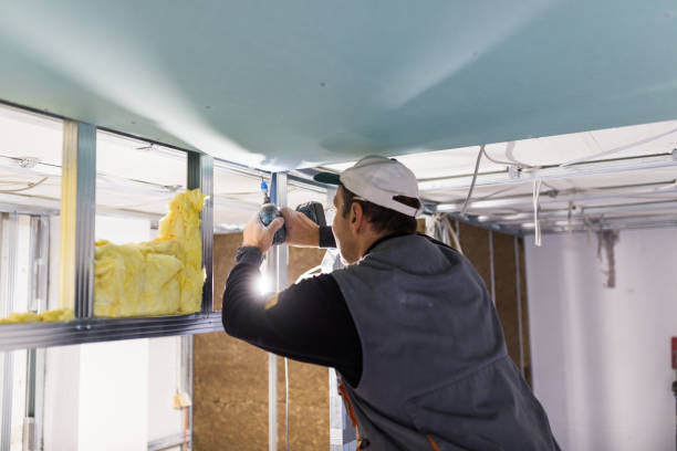 Best Spray Foam Insulation in Lloyd Harbor, NY