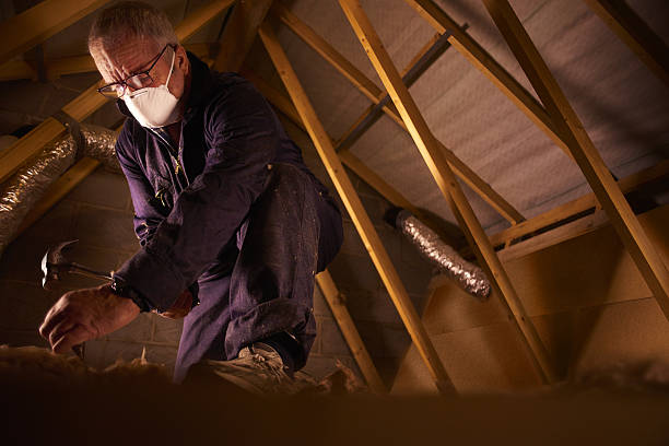 Best Spray Foam Insulation in Lloyd Harbor, NY